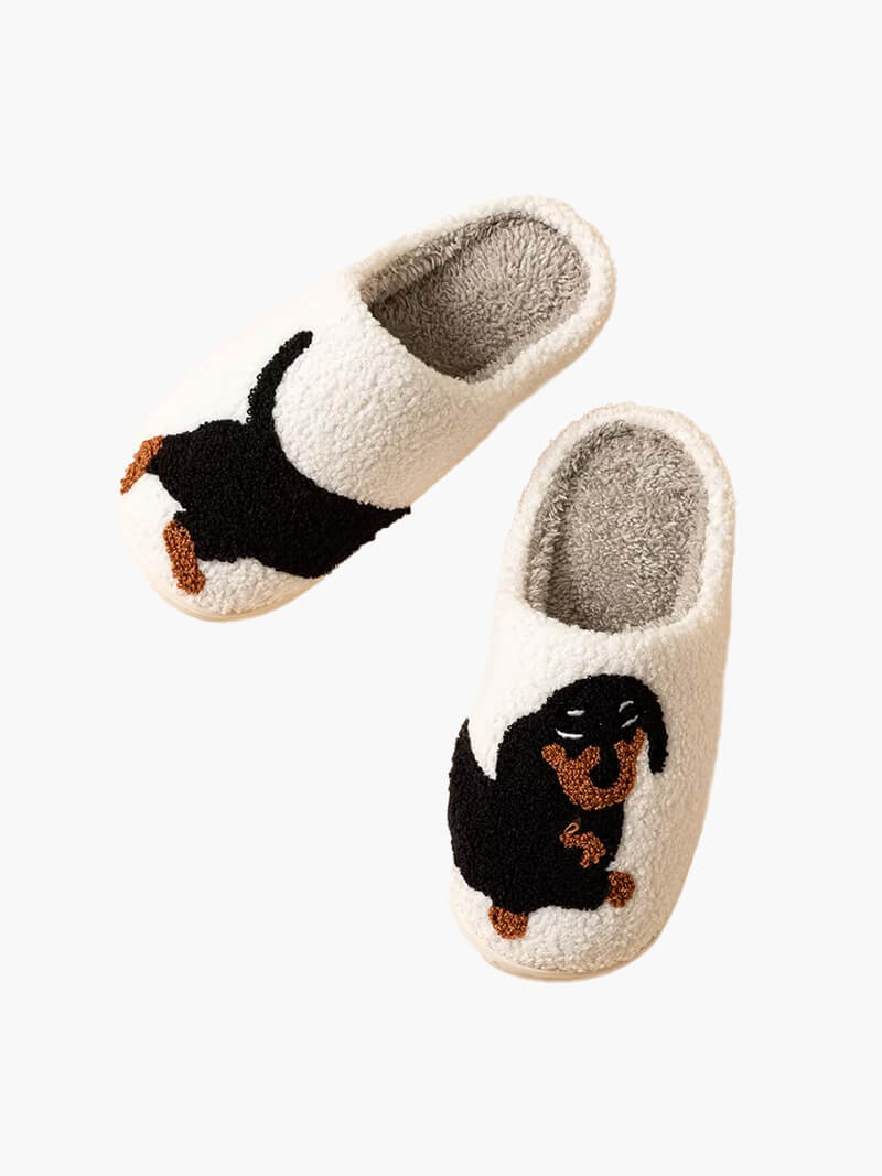 Chaussons d'hiver pour teckel