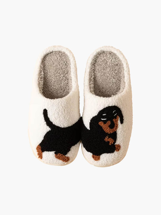 Chaussons d'hiver pour teckel