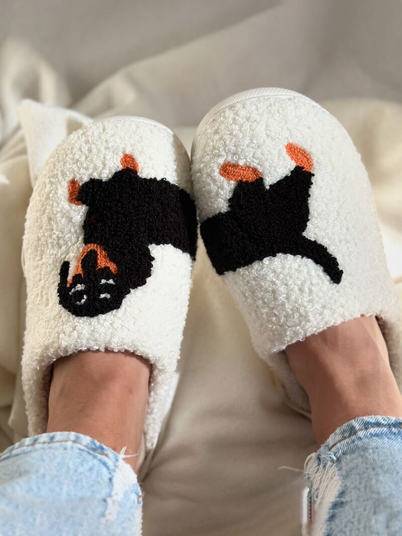 Chaussons d'hiver pour teckel