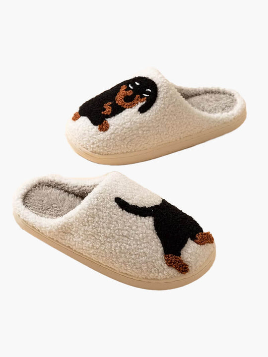 Chaussons d'hiver pour teckel